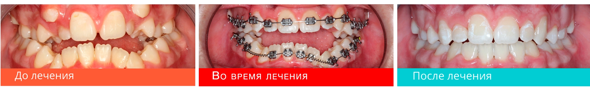 Работа докторов «Гарант»